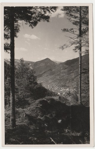 Fiera primiero vista - primiero, da