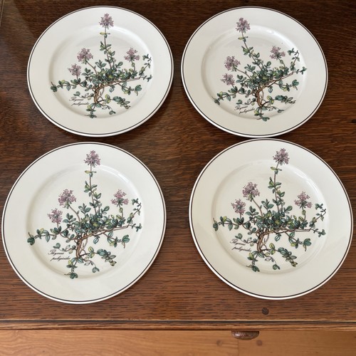 Botanica villeroy boch - by,