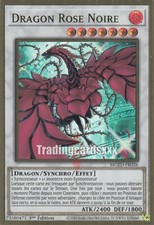Yu-Gi-Oh! Dragon Rose Noire 