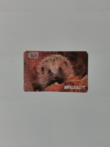 Scheda telefonica animali per - animali,