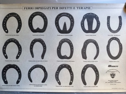 Poster veterinari esercito - poster,