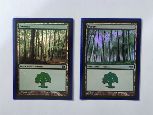 Magic the gathering terra - magic,