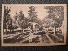 cartolina bagnoli irpino