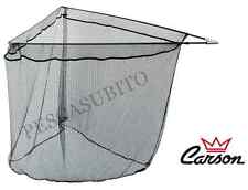 testa guadino a stecche