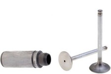 Kit valvole + guida motore