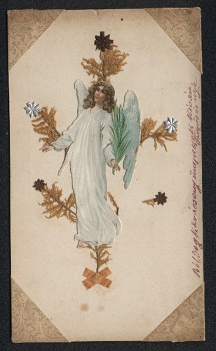 Cartolina fiori secchi angelo