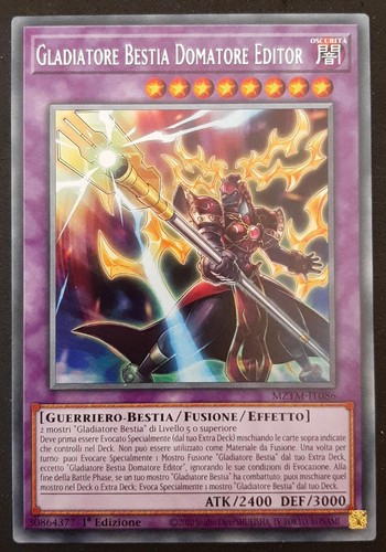 Gladiatore bestia domatore - bestia,