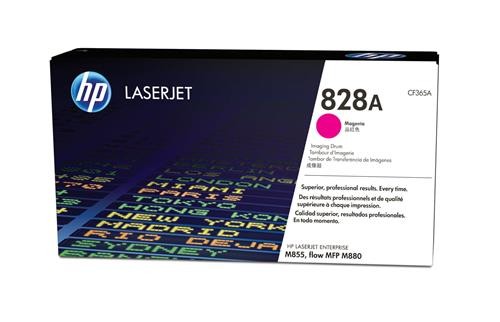 Tamburo stampa magenta - hp, di