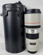 Canon EF 300mm f/4 L Telephoto
