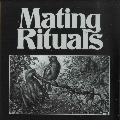 Martin hayes black pepper - martin, /