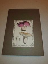 Funghi nella cucina veneta - funghi,