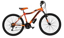 Bicicletta mtb molleggiata - bicicletta,