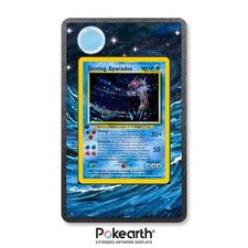 Shining Gyarados 65/64 - Case