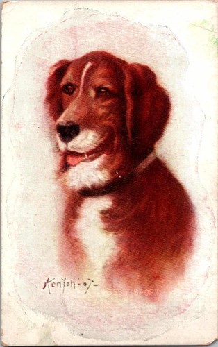 Ritratto cane kenyon 07 - ritratto, kenyon-07