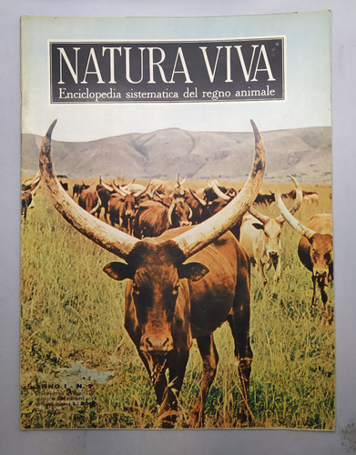 Natura viva enciclopedia - viva,
