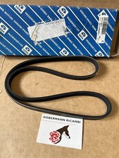 Cinghia *ORIGINALE* TATA Safari cod. 254715146310