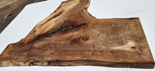 Bastogne walnut slab - bastogne,