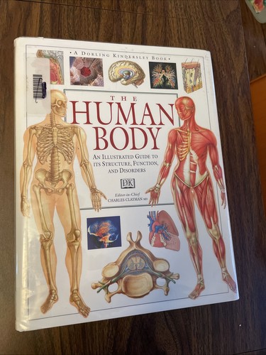 Human body educational - human,