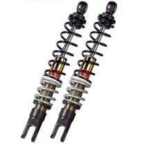 Coppia ammortizzatori