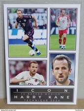 Scheda calcio HARRY KANE