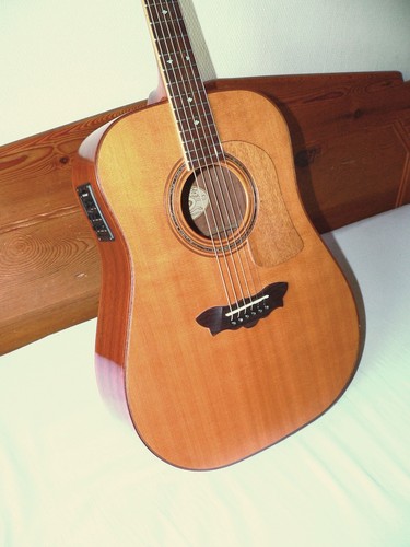 Washburn guitare d54 - washburn, bois