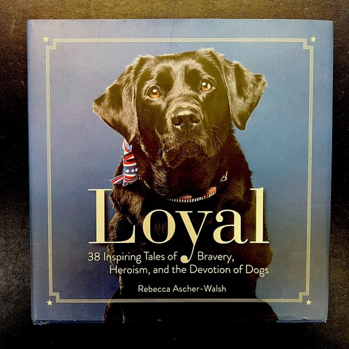 Loyal inspiring tales - 38,