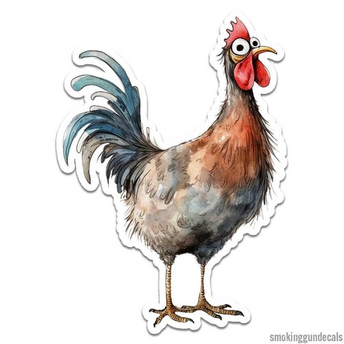Gallo pollo adesivo - gallo,