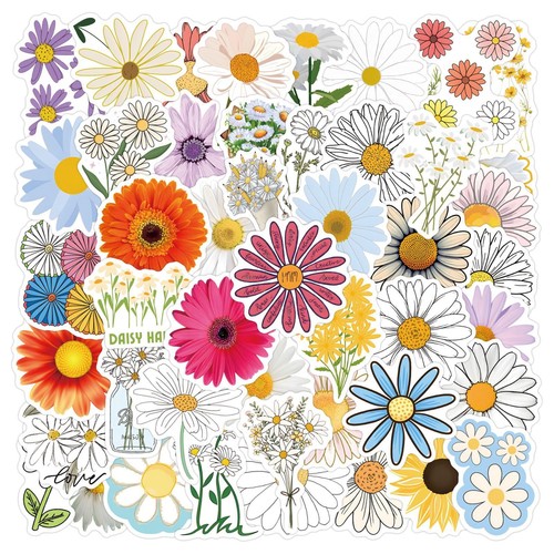 Pezzi adesivi fiori vinile - 55,