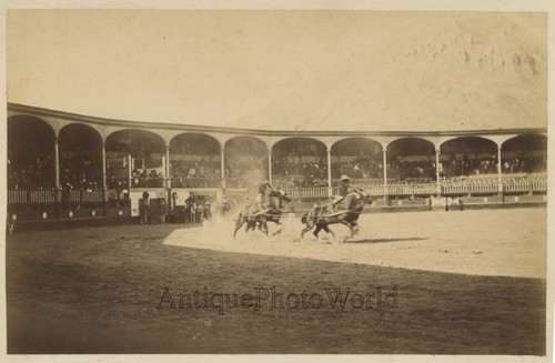 Lima perù corrida arena - lima,