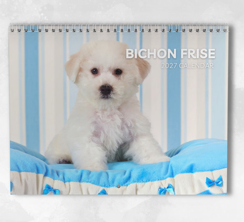 Bichon frise calendar 2027 - frise,