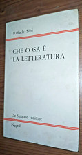 Raffaele Sirri CHE COSA È LA LETTERATURA De Simone editore