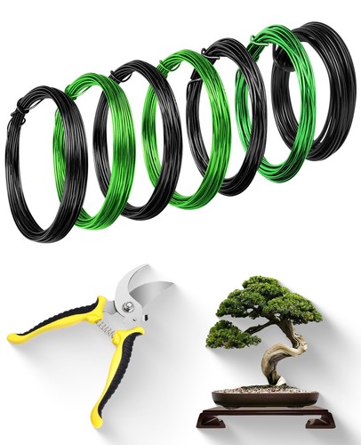 Filo bonsai con forbici - bonsai,