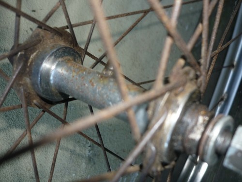 Bacchetta simplex gmozzo - bacchetta,