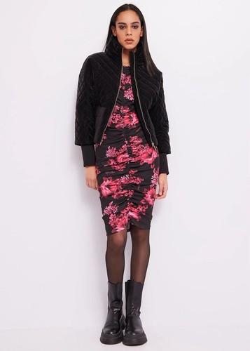 Denny rose art 321dd14008 - rose,