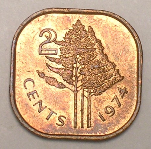 Moneta quadrata fao swaziland - moneta,