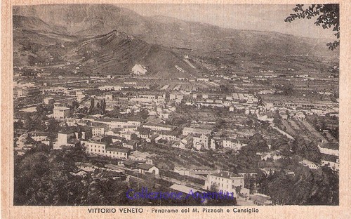 Cartolina postale vittorio - -,