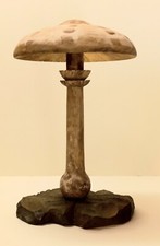 Fungo Cappellone/Mazza di