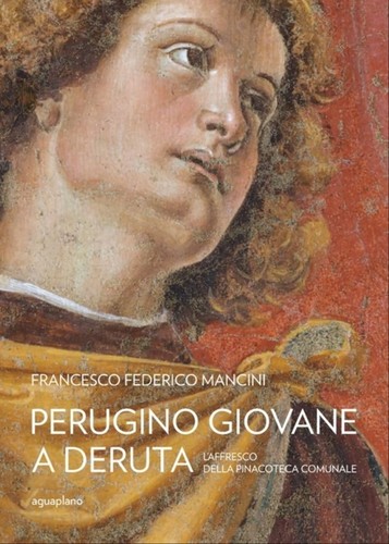 Libro nuovo mancini - nuovo,