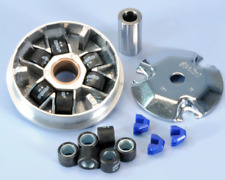 VARIATORE POLINI SPEED CONTROL