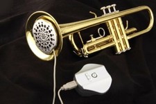 Hollywoodwinds asciuga tromba