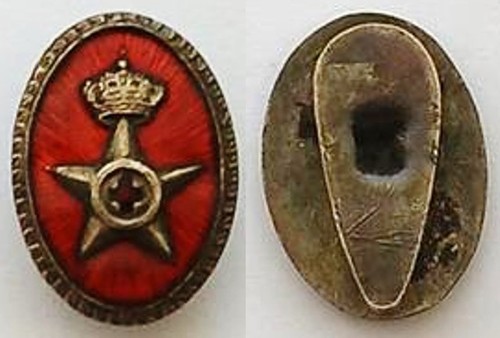Distintivo smaltato ordine
