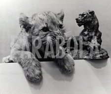 Foto vintage 1970, Leoni