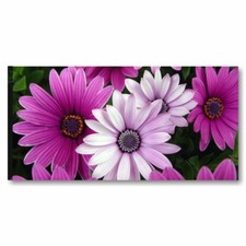 Margherite Viola Quadro