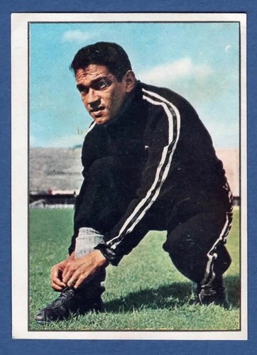 Figurina calciatori panini - figurina,