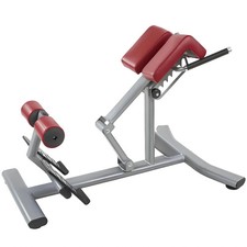 Panca Romana Professionale - PR8 | Lombari e Addominali | Donatif