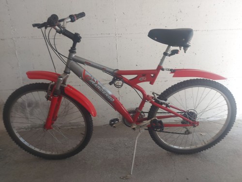 Bicicletta mountain bike - mountain,