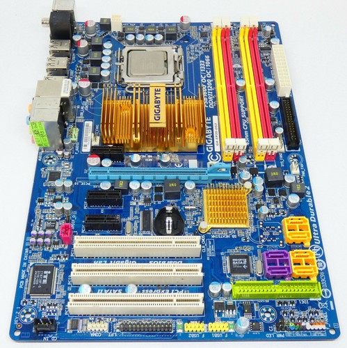Scheda madre gigabyte - madre,
