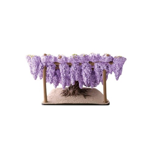 Ashikaga flower park glicine - ashikaga,