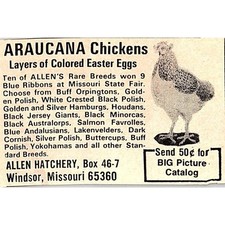 Annuncio Allen Hatchery