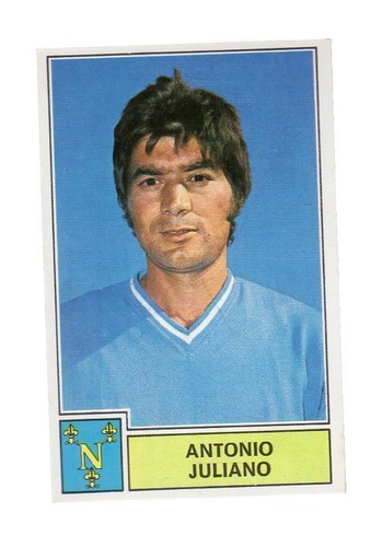 Figurina calciatori panini - figurina,